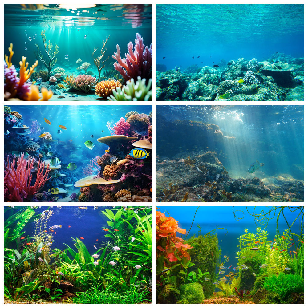 Aquarium Marine World - Unterwasserwelt Meeresboden Fotografie Hintergrund Unterwasserfisch Marine