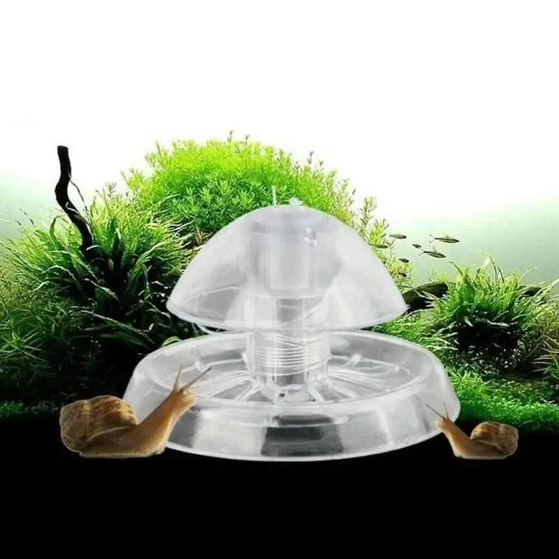 2026 Neu 6/8CM Klare Plastik-S – Marine Aquarium Bewertung und Preis