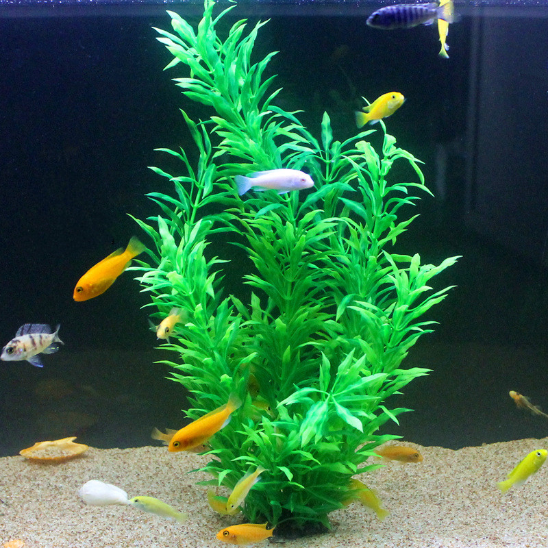 50CM Künstliche Aquarium Selte – Marine Fish Tank Bewertung und Preis