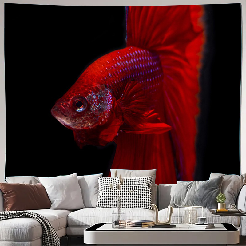 Lebendiger roter Betta-Fisch W – Ocean Aquarium Bewertung und Preis