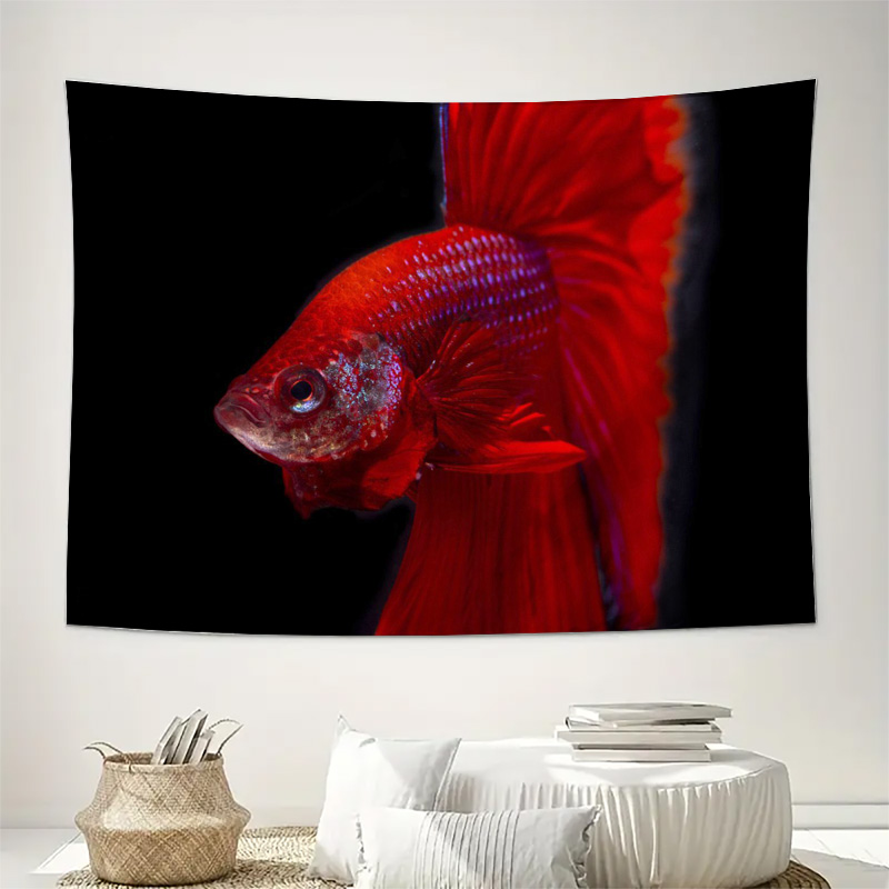 Lebendiger roter Betta-Fisch W – Ocean Aquarium Bewertung und Preis