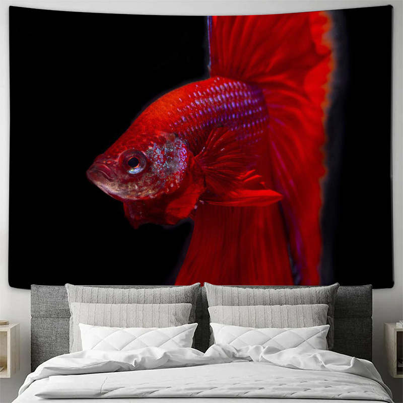 Lebendiger roter Betta-Fisch W – Ocean Aquarium Bewertung und Preis