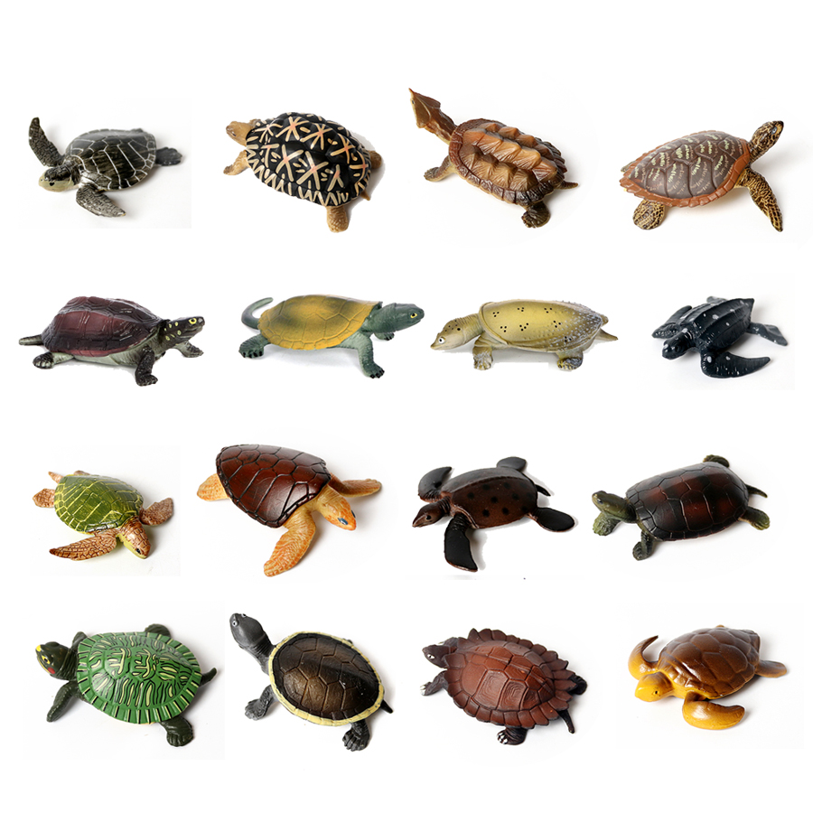 Realistische Miniaturen Meeres – Marine Fish Tank Bewertung und Preis