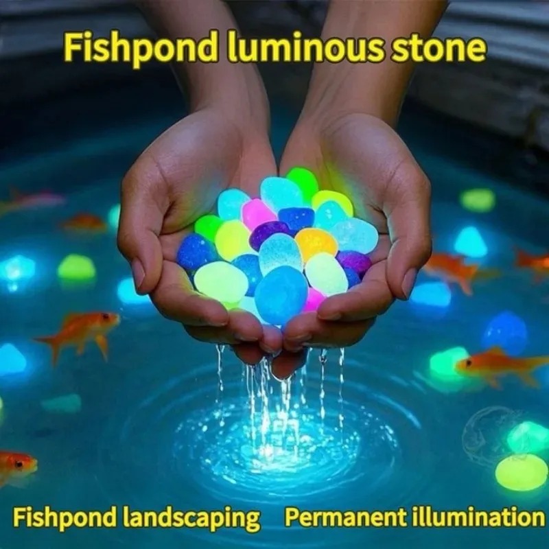 100-1000PCS Leuchtenden Stein  – Marine Fish Tank Bewertung und Preis